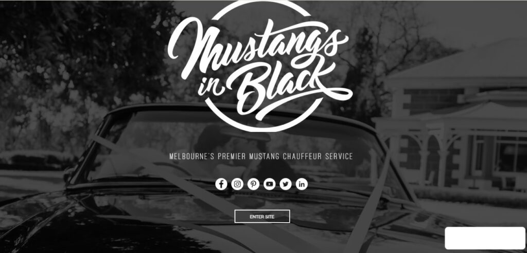 mustangs in black
