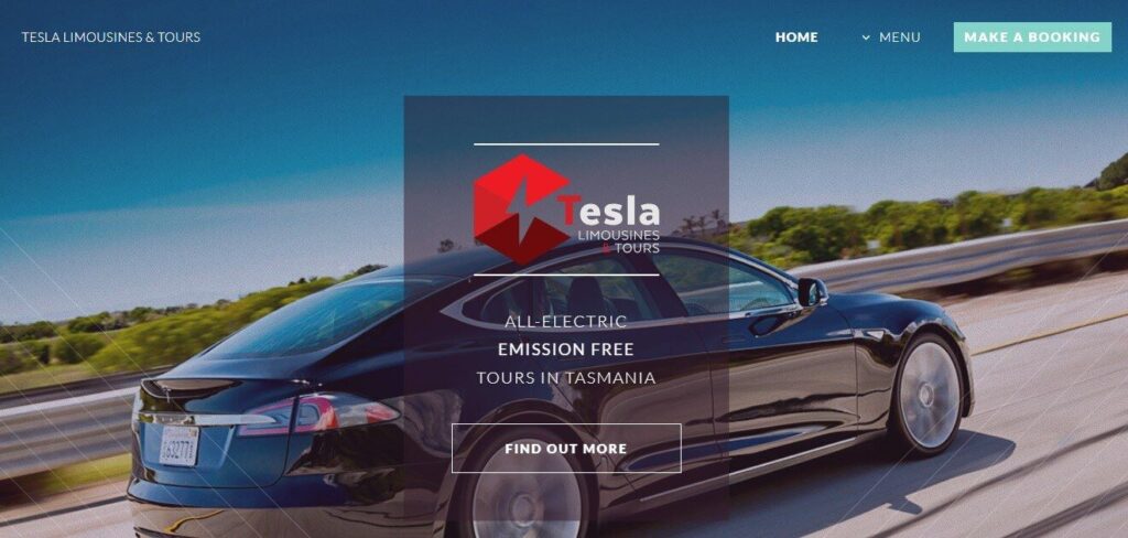 tesla limousines & tours